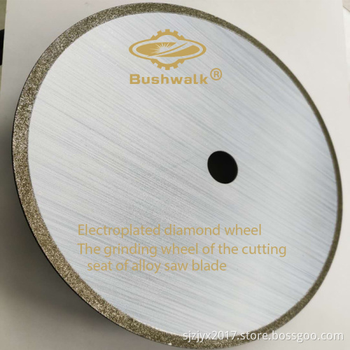 Electroplated Diamond Wheel 1A1 250X25.4X2.5